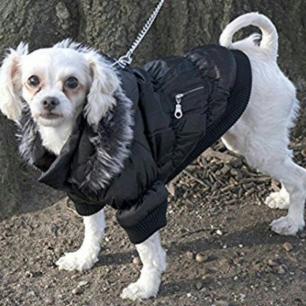 Dog coat